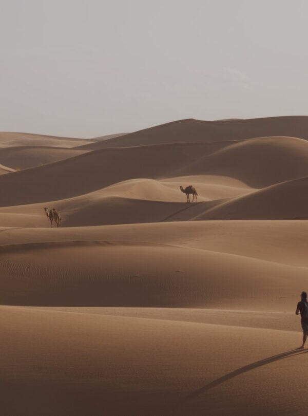 Desert Tours from Mhamid