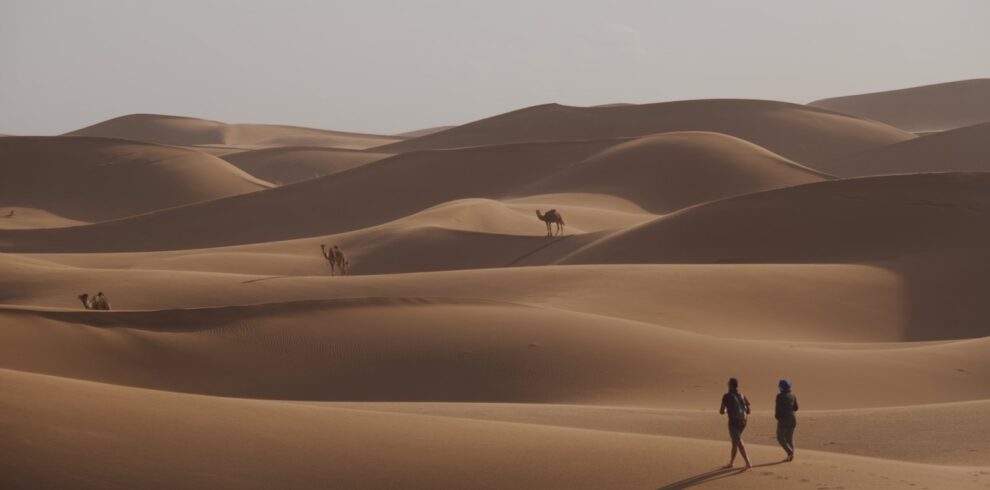 Desert Tours from Mhamid