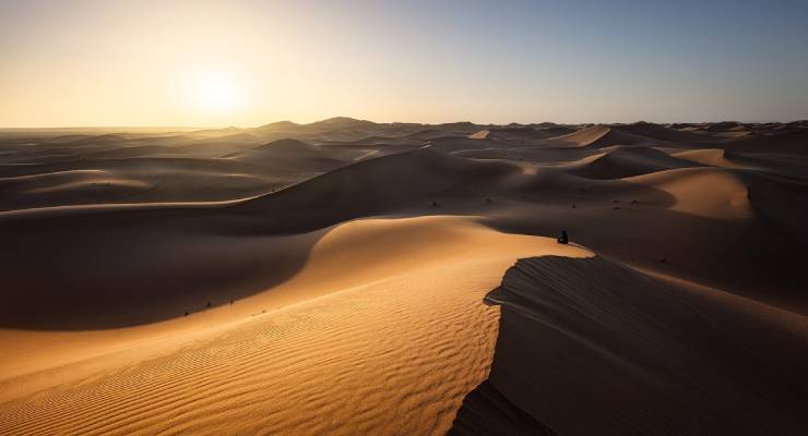 Camels resting at a desert camp near Erg Chegaga, Morocco