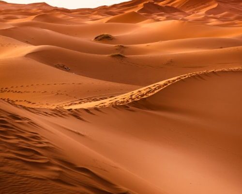 Nomad tent camp at sunset in the Sahara desert