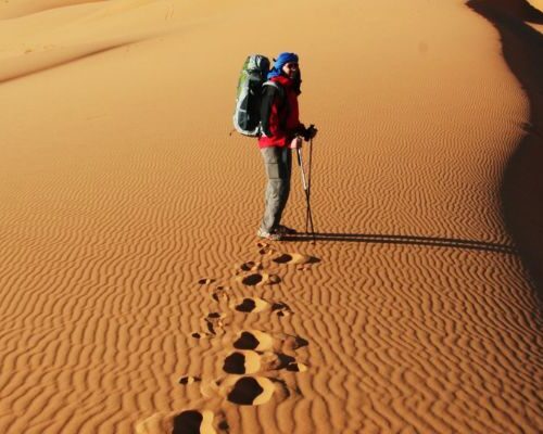 Nomadic guide leading camels across the Sahara desert in Morocco