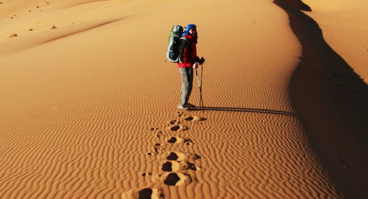 Nomadic guide leading camels across the Sahara desert in Morocco
