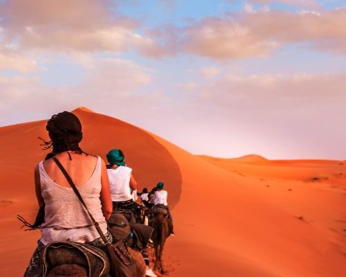 Camel caravan crossing the Draa Valley desert on the way to Erg Zahar