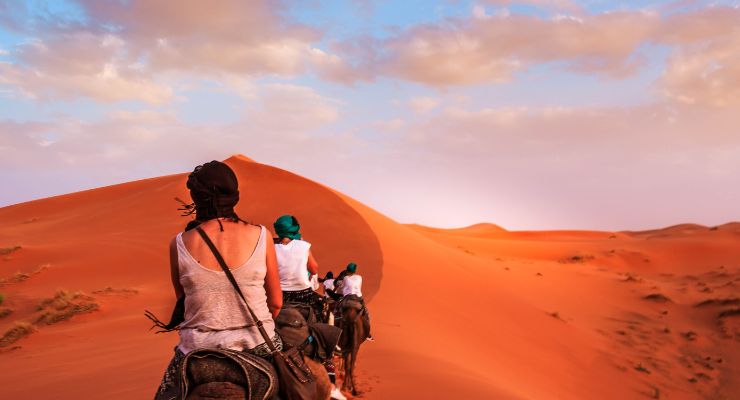 Camel caravan crossing the Draa Valley desert on the way to Erg Zahar