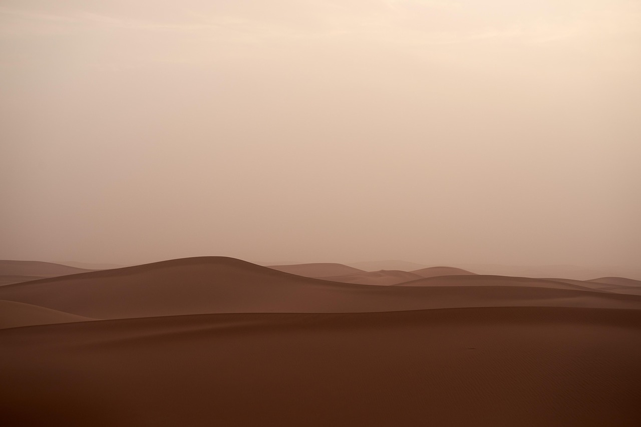 sandstorm, desert, sand, landscape, nature, sahara, morocco, dunes, sunset, travel, dry, desert, desert, desert, desert, desert