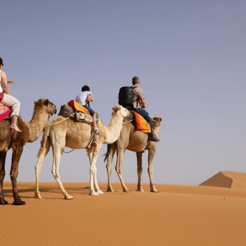 Explore the serene desert landscapes on camelback with family, capturing the essence of travel and adventure.