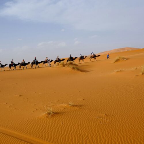 Traveller riding a camel across the Sahara desert