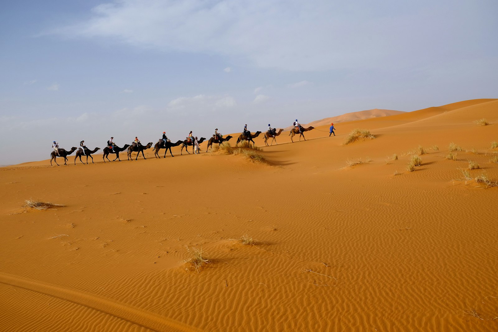 Traveller riding a camel across the Sahara desert