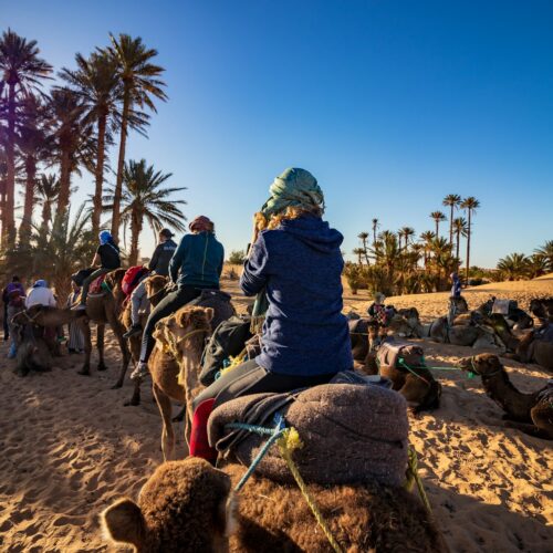 Group of travellers riding camels across Erg Chebbi dunes