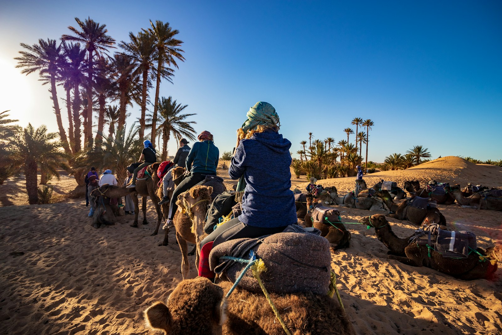 Group of travellers riding camels across Erg Chebbi dunes