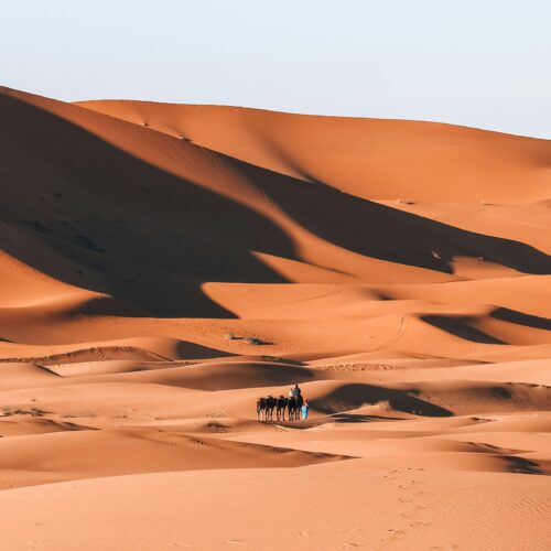 Golden Sahara desert dunes under a clear blue sky in Morocco