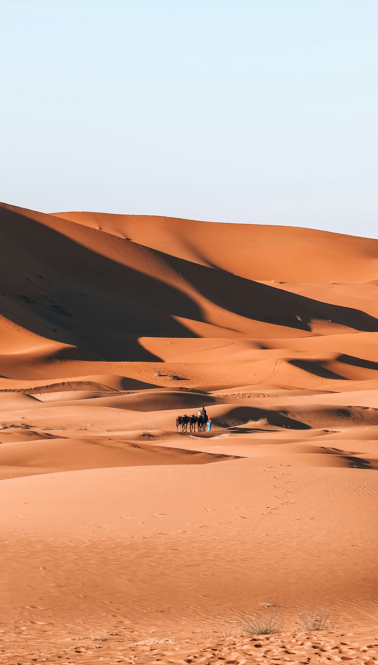 Golden Sahara desert dunes under a clear blue sky in Morocco