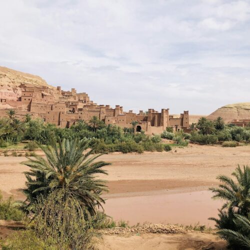 Palm tree beside a rock formation near Ouarzazate, Morocco
