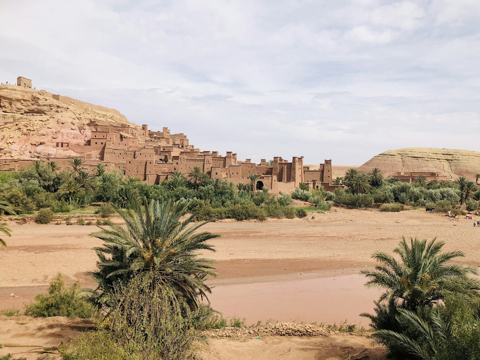 Palm tree beside a rock formation near Ouarzazate, Morocco